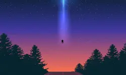 Alien Wonderland Hidden