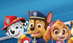 Fun Paw Patrol Jigsaw