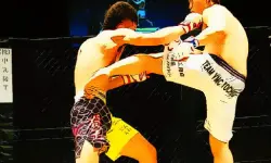UFC Fighting Match Jigsaw