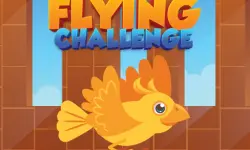 Flying Challenge