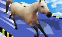 Animal Impossible Track Rush