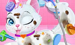 Baby Animals Pet Vet Care