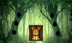 Rescue The Lion Cub
