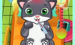 Cat Doctor