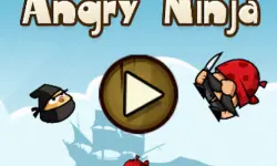 Angry Ninjas