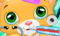 Kitty Doctor