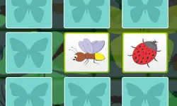 Kids Memory - Insects