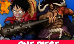 One Piece 3D Game
