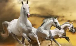 Running Horse Slide