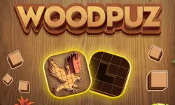 WoodPuz: Block Puzzle Games