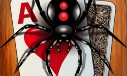 Classic Spider Solitaire