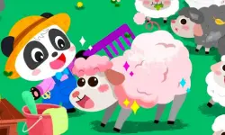 Baby Panda Animal Farm