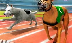 Dogs3D Races background