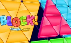 Block Triangle Puzzle