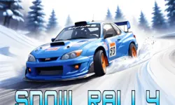 Snow Rally