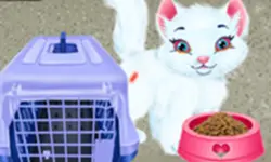 Baby Taylor Pet Care - Save Cute Animals