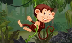 Safari Jigsaw background