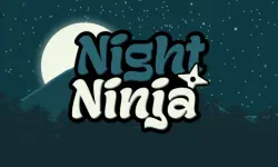 Night Ninja