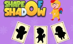 Shape of Shadow