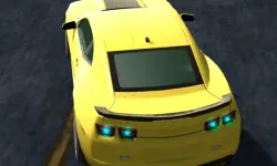 Rac Simulator