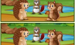 Spot The Differences Forests