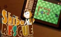 Shiba Rescue : Dogs and Puppies