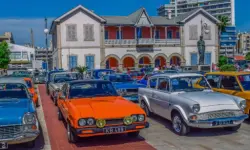 Find 100 Butterflies