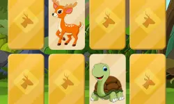 Wild Animals Memory