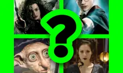 WHICH HARRY POTTER CHARACTER ARE YOU?
