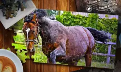 Jigsaw Puzzle Horses Edition