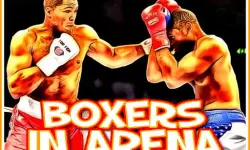 Boxers in Arena