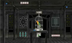 Parrots Escape