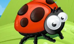 Ladybug Slide