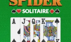 Spider Solitaire Pro