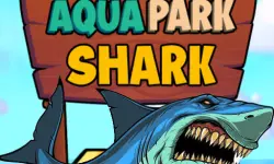 Aqua Park Shark