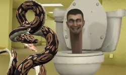 Python Snake Kill Skibidi Toilet Backrooms