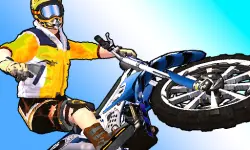 Trial Bike Epic Stunts background