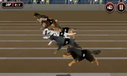 Crazy Dog Racing Simulator Games 3D