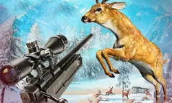 Deer Hunting Adventure:Animal Shooting Games