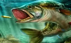 Ultimate Fishing Simulator