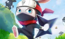 Ninja Rabbit
