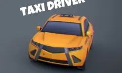 Taxi Driver 3D