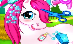 Horse Pet Salon 3D background