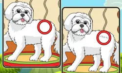 Dogs Spot The Differences 2
