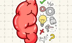 Brain Tricky Puzzles