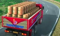Indian Truck Driver Cargo Duty Delivery