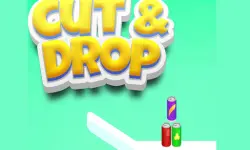 Cut And Drop Puzzle