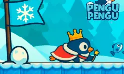 Pengu Pengu background