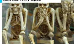 Skeletons Funny Jigsaw