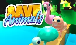 Save Animals: Forest fire background